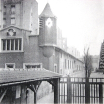 1950-2